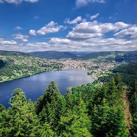 L'apparte De G, 3 Etoiles De Montagne Cosy Apartment Gerardmer