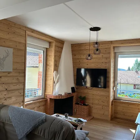 Apartment L'apparte De G, 3 Etoiles De Montagne Cosy Gerardmer