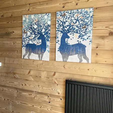 L'apparte De G, 3 Etoiles De Montagne Cosy Gérardmer